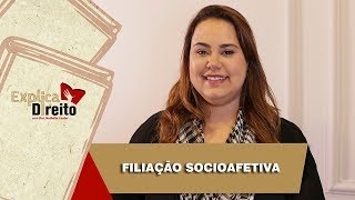 Explica Direito Filiação Socioafetiva  2019 [upl. by Aninaj]