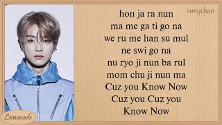 NCT U  Know Now Easy Lyrics [upl. by Mok263]