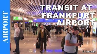 TRANSIT WALK AT FRANKFURT Airport FRA Terminal 1  Connection Flight Transfer Arriving amp Departing [upl. by Piper]